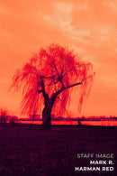 HARMAN technology Red 125 Redscale Color Negative Film (35mm Roll Film, 36 Exposures)
