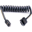 Atomos AtomFLEX Coiled Cable Micro HDMI to HDMI (30 cm / 12 to 24") [NS]