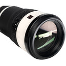 Sony FE 100-400mm f/4.5 GM OSS Lens