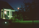Cinestill 800Tungsten Xpro C-41 Color Negative Film (120 Roll Film)