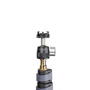 Promaster Famous Shoes Ball Head