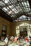CineStill 400Dynamic C-41 Color Negative Film (35mm Roll Film, 36 Exposures)