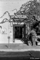 Kentmere Pan 200 Black and White Negative Film (35mm Roll Film, 36 Exp)