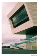 HARMAN technology Phoenix II 200 Color Negative Film (35mm Roll Film, 36 Exposures)