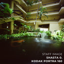 Kodak PORTRA 160 Color 35mm 36EXP - Single Roll