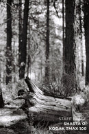 Kodak T-MAX 100 Black & White 120 Film - Single Roll