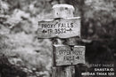 Kodak T-MAX 100 Black & White 120 Film - Single Roll