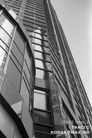 Kodak T-MAX 100 Black & White Film (4 x 5", 10 Sheets)
