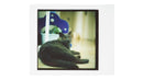 NONS Original Instax Back for Hasselblad Cameras