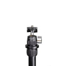 Promaster Famous Shoes Ball Head