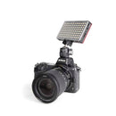 Promaster Famous Shoes Ball Head
