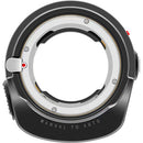 Megadap Leica M to Canon RF Autofocus Adapter