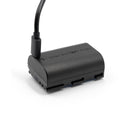 ProMaster Li-ion Battery for Canon LP-E6P with USB-C Charging