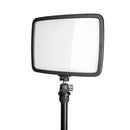 Promaster Famous Shoes Ball Head