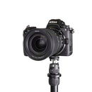 Promaster Famous Shoes Ball Head