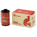 HARMAN technology Phoenix 125 Color Negative Film (35mm Roll Film, 36 Exposures)