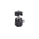 Promaster Famous Shoes Ball Head