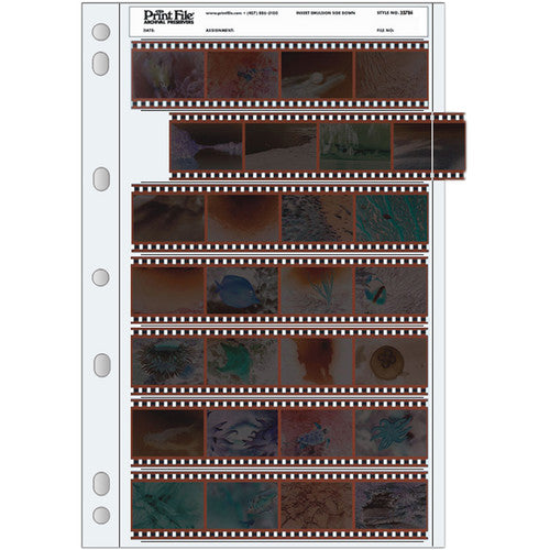 Print File Archival Storage Page for Negatives, 35mm, 7-Strips of 4-Frames (Binder Only) - 25 Pack