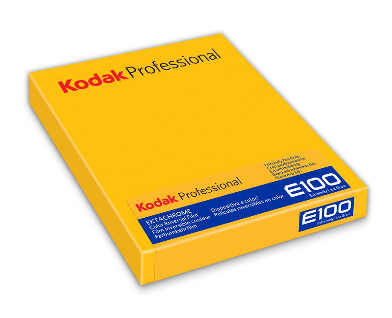 Kodak Ektachrome E100 Color Transparency Film (4 x 5", 10 Sheets)
