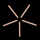 Savage LED Star Light