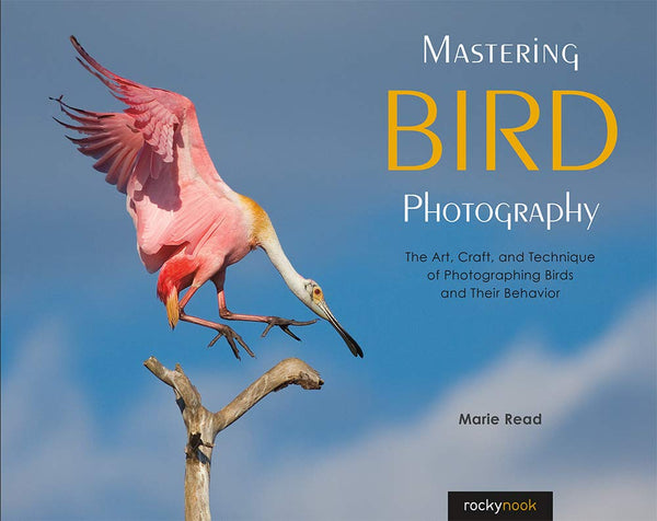 Rocky Nook Book: Mastering Bird Photography by Marie Read